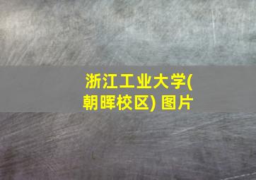 浙江工业大学(朝晖校区) 图片